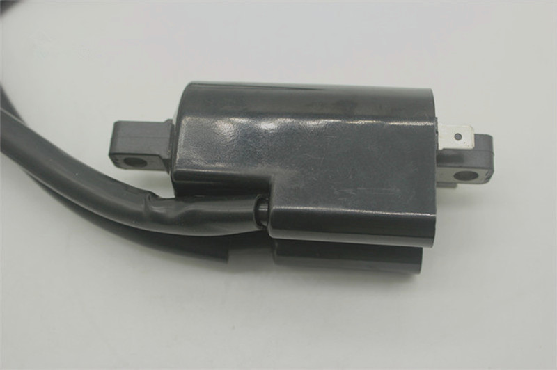 GSF600  ignition coil